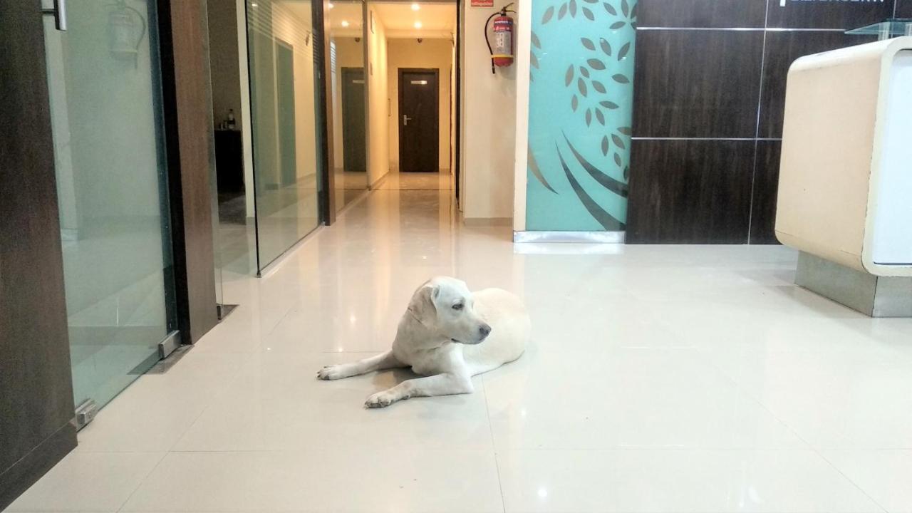 Sai Srushti By Neem Square Hotel Shirdi Exterior foto